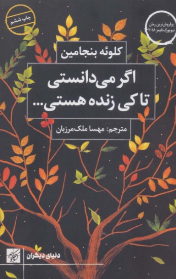 تصویر  اگر می دانستی تا کی زنده هستی... (دنیای دیگران)